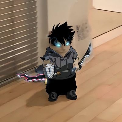 heweew's profile picture. BLUE WALL💙💙💙