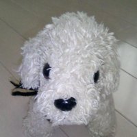 のぶおじ (@uk8c2vjj0h64484) 's Twitter Profile Photo