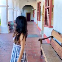 Inca Dove πͺ· (@incadove) 's Twitter Profile Photo Inca Dove πͺ· (@incadove) 's Twitter Profile Photo