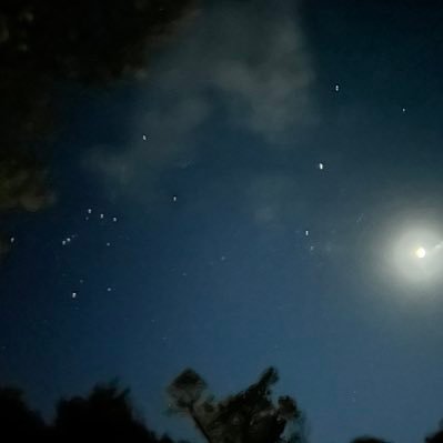 Jelly_Winters's profile picture. 