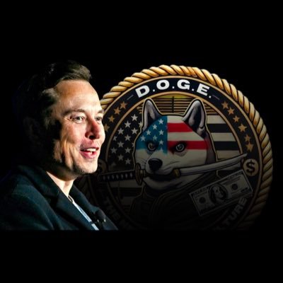 Mrmusk_Doge11's profile picture. MR D.O.G.E. .The people voted for major government reform.