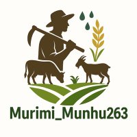 Murimi_Munhu263. (@bryanhmutamba) 's Twitter Profile Photo Murimi_Munhu263. (@bryanhmutamba) 's Twitter Profile Photo