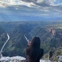 Fleevo (@fleevo154632) 's Twitter Profile