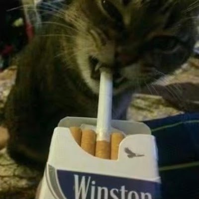 RITZ_CRACKERA's profile picture. 