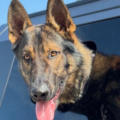 Nursescareglo's profile picture. Nurses Care Global is committed to improving the health and well-being of communities through the collaborative efforts of Nurses, Doctors, SW and volunteers.