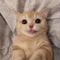 albertoooov3 (@albertoooov5) 's Twitter Profile