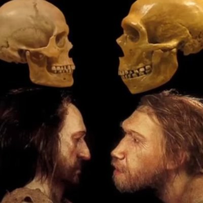 EfrenYeager's profile picture. Marronólogo | Etnonacionalista.
Adivina mi edad: tenía 14 años en el año 88'
🗣️parodia.