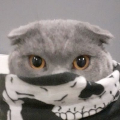 kohezivnifaktor's profile picture. Знам више, бирам боље. У служби истине.