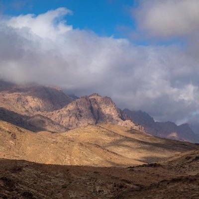 aldamy98589's profile picture. 