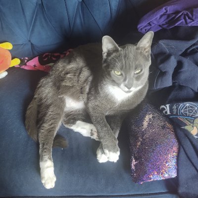 Badideas4days's profile picture. All BLM. Fuck terfs.
She/her