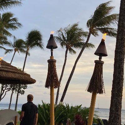 OwebamaDoucheb1's profile picture. 