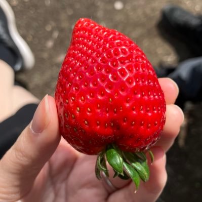 zwy9e's profile picture. 趣味アカウントです