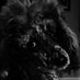 We Are The People (@bigmouth_baby) Twitter profile photo We Are The People (@bigmouth_baby) Twitter profile photo