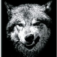 varg (@oldmong666) 's Twitter Profile