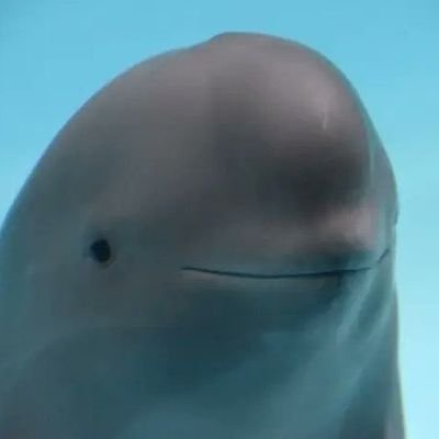 27. beach-pilled. Ask questions here: https://t.co/oaGyPE4aTD DM me the word tomato. also add me on here https://t.co/d7taBxNS4Z