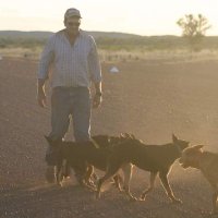 The Browne Dog (@darryn_browne) 's Twitter Profile Photo