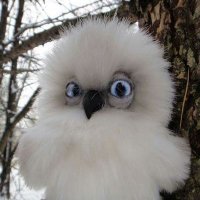 Grumpy (@grumpyfocker) 's Twitter Profile