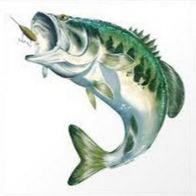 EliBlair123865's profile picture. 