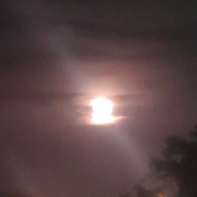 Thug_11x's profile picture. @Kisshimself is actually a fucking fish/18