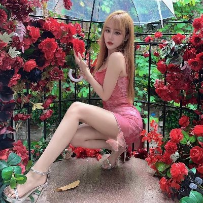 Phoebe66666666's profile picture. Hi 👋🏻