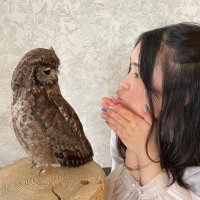 みお/オタクでハードワーカー (@yuri71641036) 's Twitter Profile