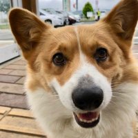 まぁさん (@svxwunjkknbmzyw) 's Twitter Profile Photo