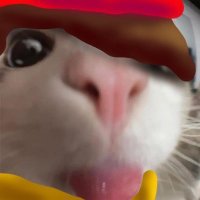 Catbur is not scared if you’re not (@missingr11) 's Twitter Profile