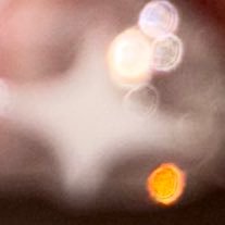 ningenwannabe's profile picture. 院の縮小垢　m1 にんげんがすきです