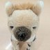 蔡(Sai) (@r3_sai) Twitter profile photo 蔡(Sai) (@r3_sai) Twitter profile photo