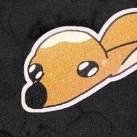๐ดMountain Doe๐ด (@mtndoe) 's Twitter Profile Photo ๐ดMountain Doe๐ด (@mtndoe) 's Twitter Profile Photo