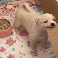 딩이 (@moothing2) 's Twitter Profile Photo