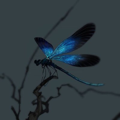 DAMSELFL1ES's profile picture. MEOW, fan of a lot of stuff, random 2nd public acc so ppl I know don’t see this tbh | fan of hoyo games, kuro games, all that jazz I guess