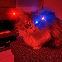 MarkD (@taomadness) 's Twitter Profile