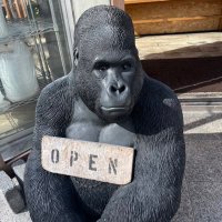 lucas&nonstop (@lnonstep) 's Twitter Profile