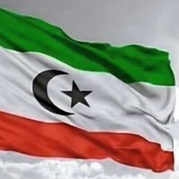عادل بن كلشات المهري (@dllmhry3) Twitter profile photo
