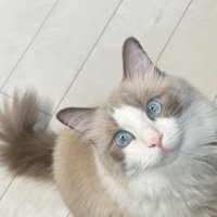 くらグループ｜一般社団法人KR (@kr56029400) 's Twitter Profile Photo