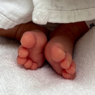 ikuji365's profile picture. 2024年冬生まれ 成長ゆっくりめの1歳児くんを育てています 家庭のこと育児のこと、自分のこと、思うままに📮 共感したらコメントしちゃいますごめんなさい🙇‍♀️いいね♡コメント📝大歓迎です！