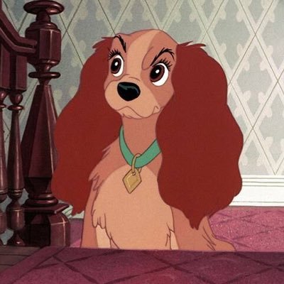 Beeboronnnn's profile picture. 𝑷𝒐𝒑𝒑𝒕𝒓 🤓