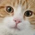 Sasha (@sasha4822674328) Twitter profile photo Sasha (@sasha4822674328) Twitter profile photo