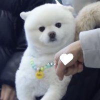 𝟯𝟬𝟮𐙚 (@302302azusa) 's Twitter Profile Photo 𝟯𝟬𝟮𐙚 (@302302azusa) 's Twitter Profile Photo