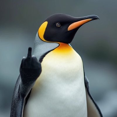 di_binns's profile picture. proud Labor voter ♥️♥️♥️