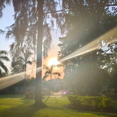 Sakil_india's profile picture. Views are Personal ..Indian ...Nature Lover..Bealive in Act