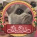 kulkuluu (@kulkuluu) Twitter profile photo kulkuluu (@kulkuluu) Twitter profile photo