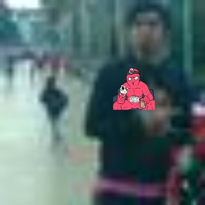 Roby_Doggies's profile picture. 