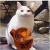 munky kingu (@ubermunky) Twitter profile photo munky kingu (@ubermunky) Twitter profile photo