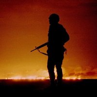 Animoid (@richardwallo3) 's Twitter Profile