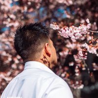 周 (@tkb_shu) 's Twitter Profile