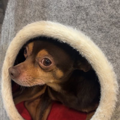 jk8r1's profile picture. 