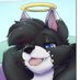 Alis 🔜 FWA (@nicealis) Twitter profile photo Alis 🔜 FWA (@nicealis) Twitter profile photo