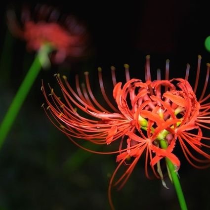 leica130930's profile picture. 